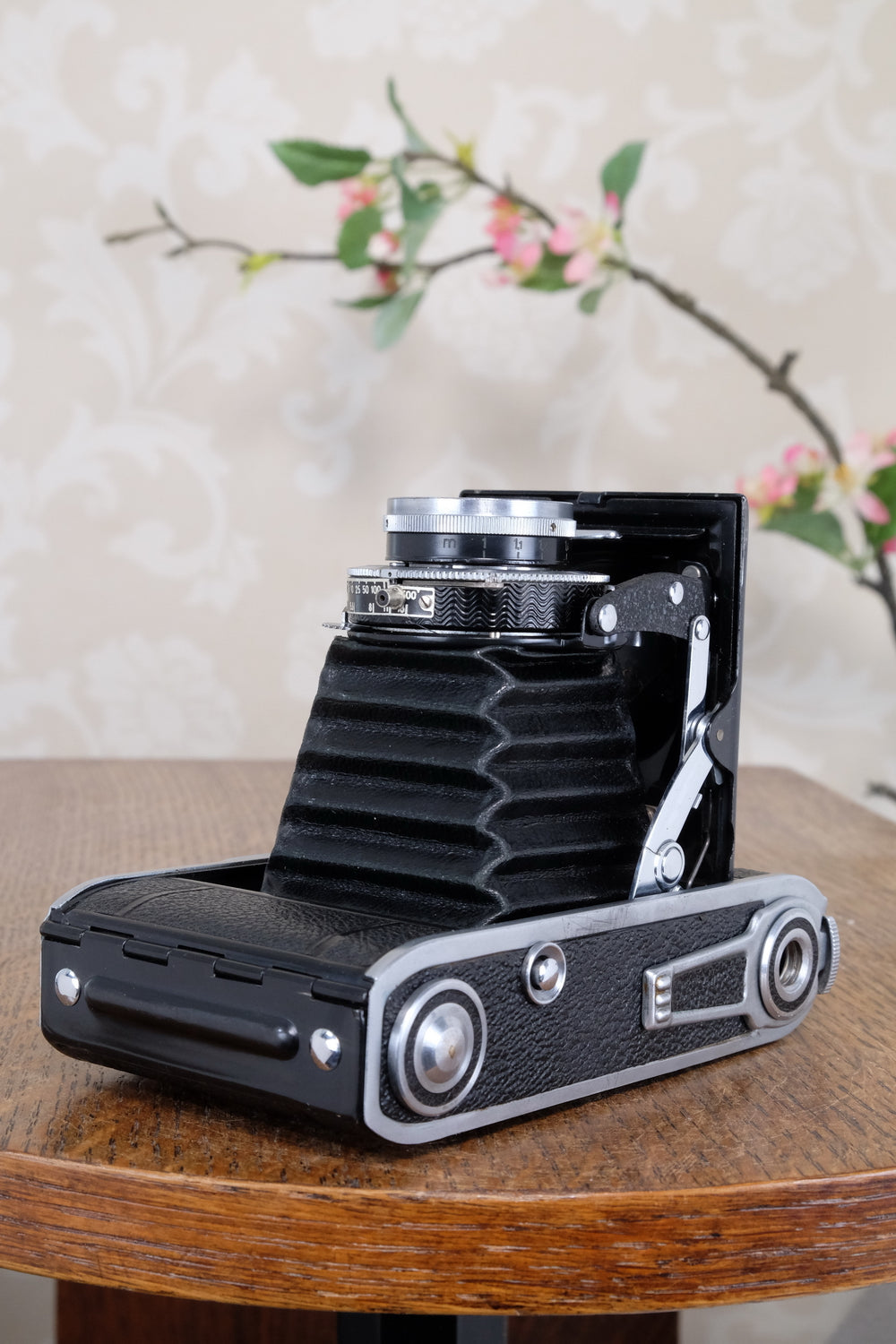Superb! 1945 Voigtlander “Klein Bessa” 66. CLA'd, Freshly Serviced!
