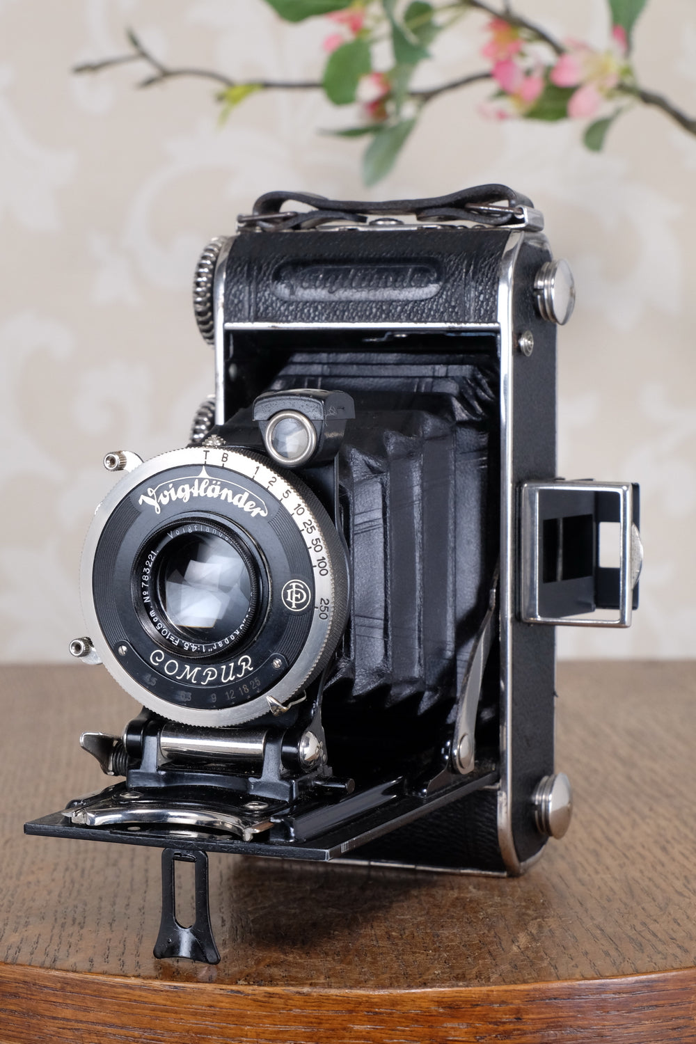 Superb! 1934 Voigtlander Inos II 6x9 Folder, CLA’d, Freshly Serviced!