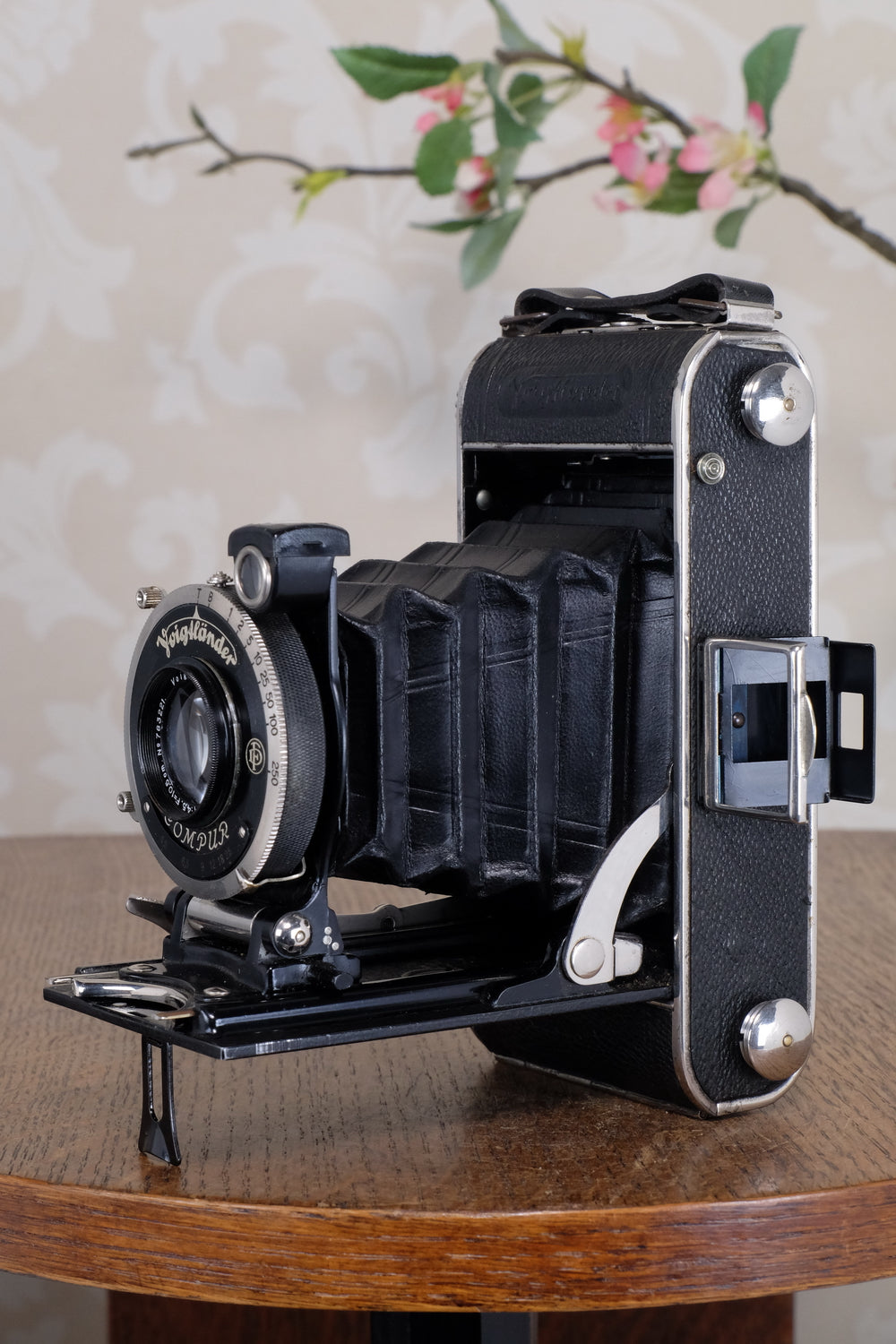 Superb! 1934 Voigtlander Inos II 6x9 Folder, CLA’d, Freshly Serviced!