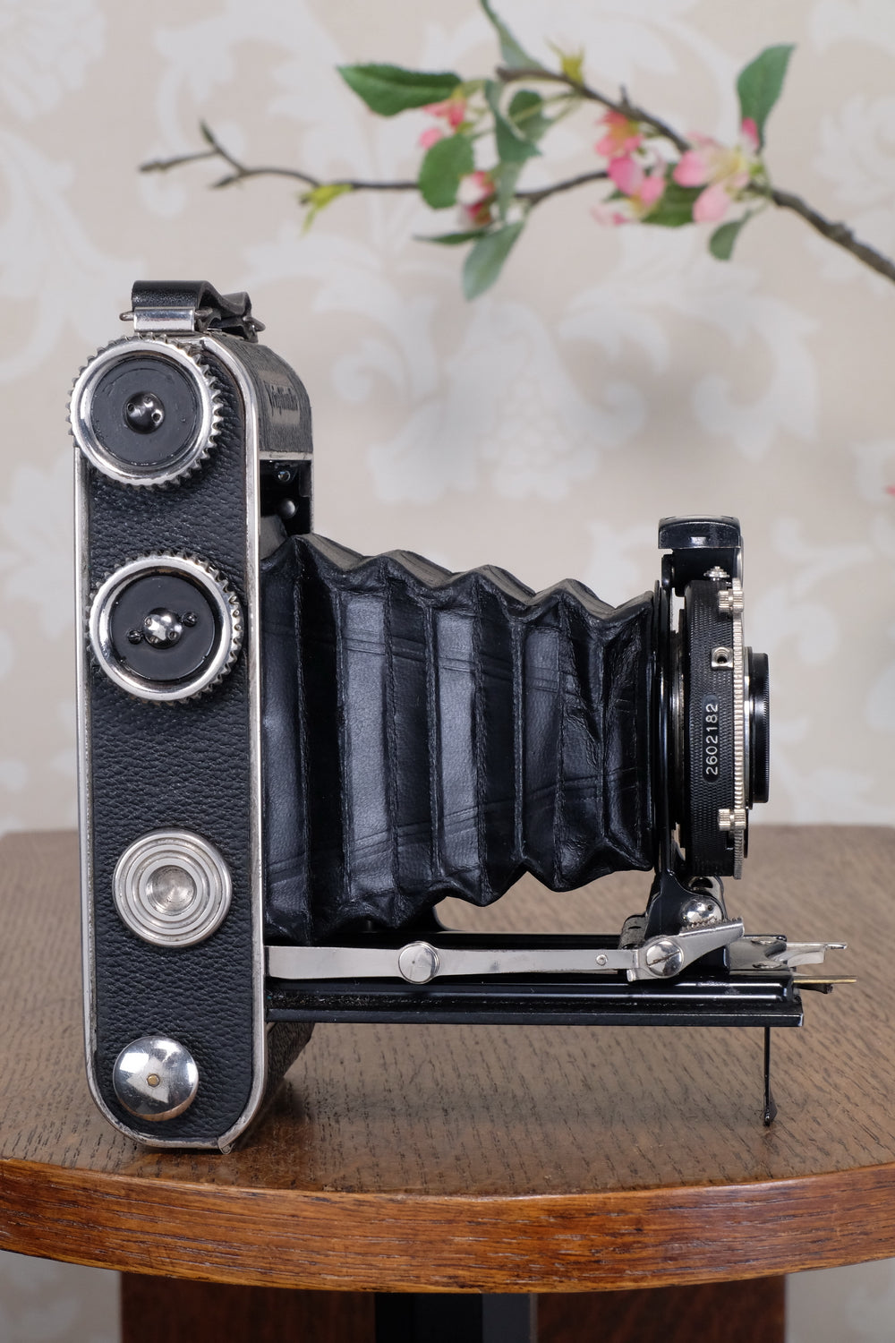 Superb! 1934 Voigtlander Inos II 6x9 Folder, CLA’d, Freshly Serviced!