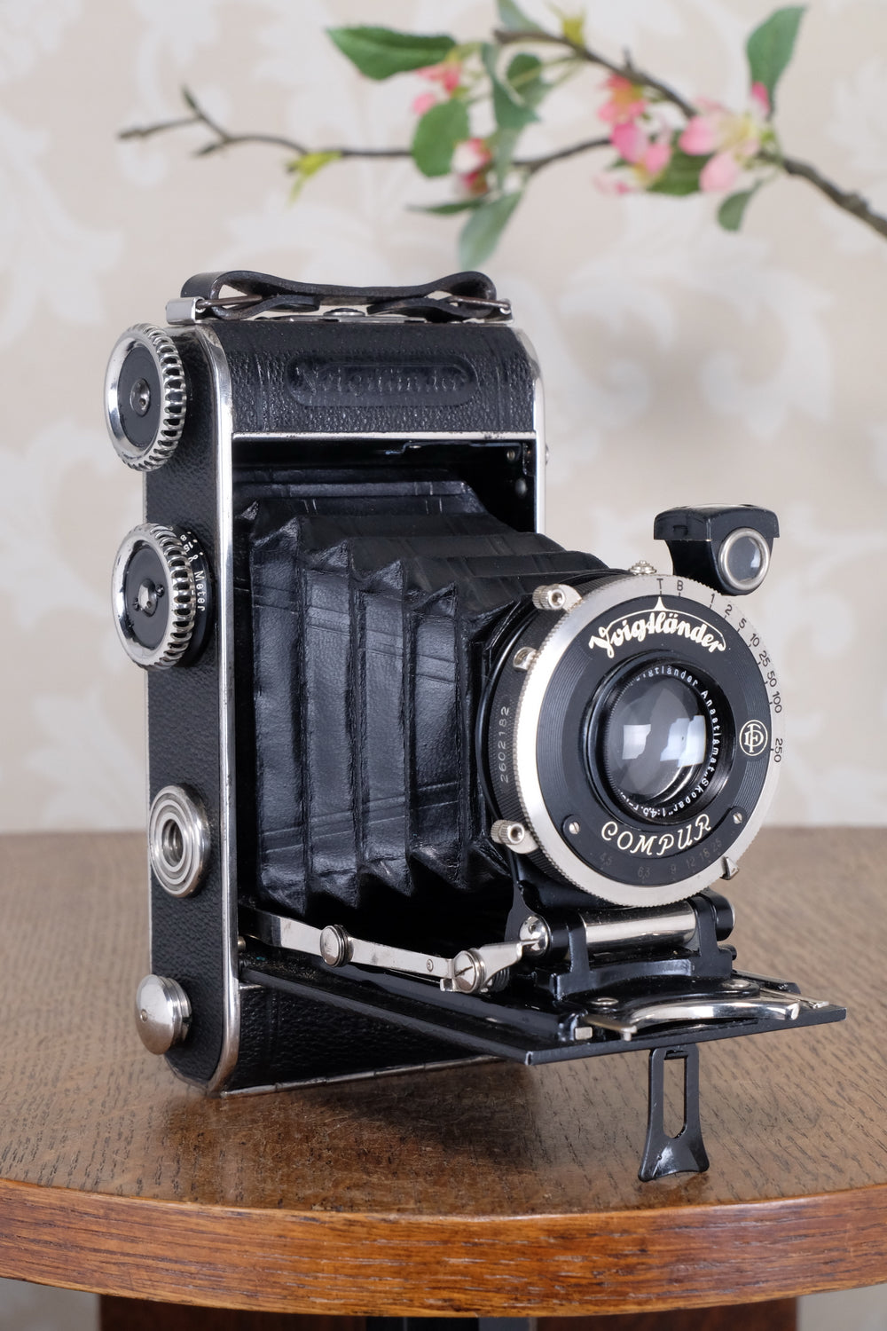 Superb! 1934 Voigtlander Inos II 6x9 Folder, CLA’d, Freshly Serviced!