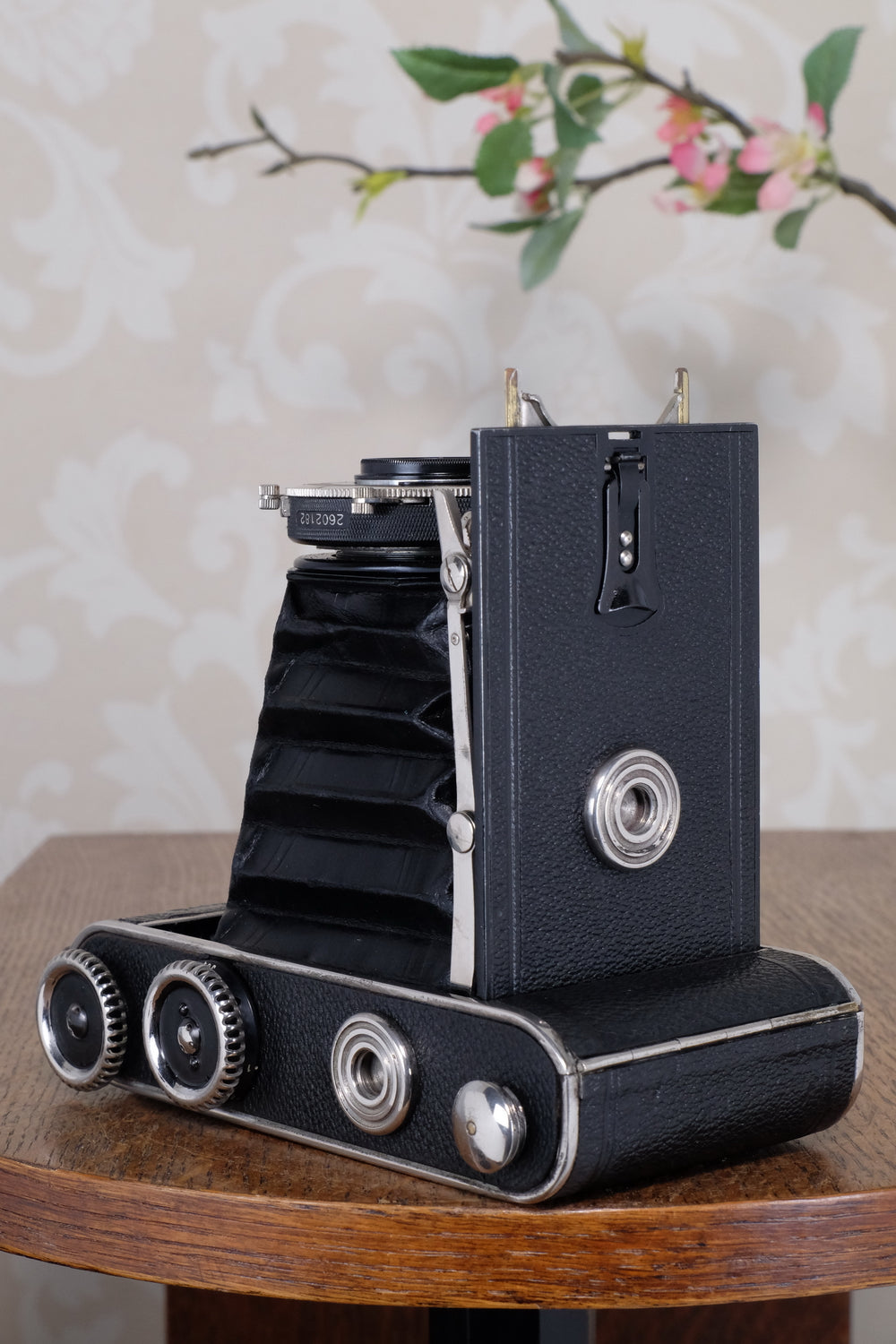 Superb! 1934 Voigtlander Inos II 6x9 Folder, CLA’d, Freshly Serviced!