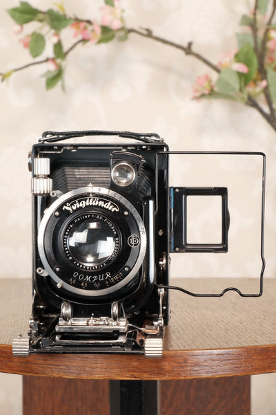 Near Mint! Rare Green Voigtlander 1935 Bergheil with Heliar lens & 120 rollfilm back, Freshly serviced, CLA'd! - Voigtlander- Petrakla Classic Cameras