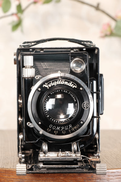 Near Mint! Rare Green Voigtlander 1935 Bergheil with Heliar lens & 120 rollfilm back, Freshly serviced, CLA'd! - Voigtlander- Petrakla Classic Cameras
