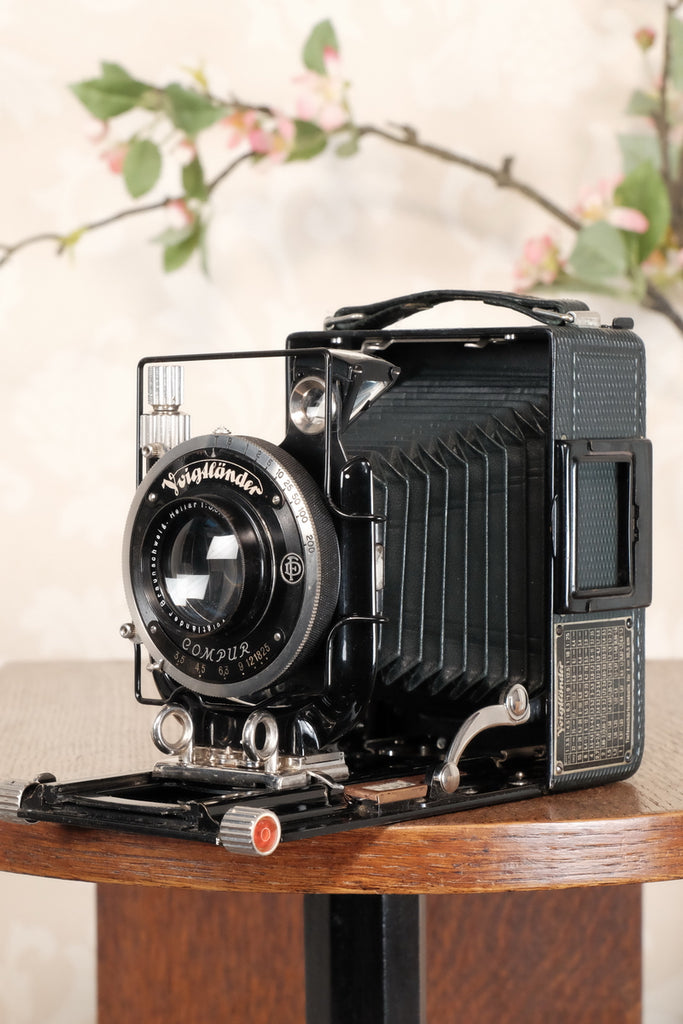 voigtlander rollfilm
