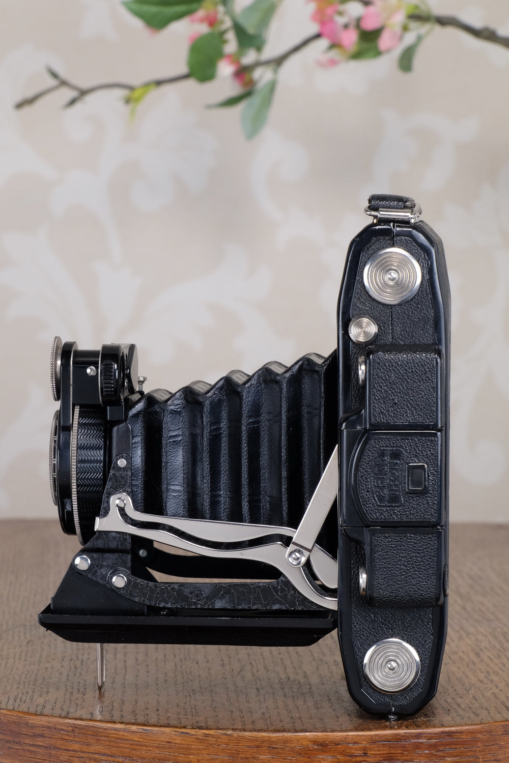 Near Mint 1933 Zeiss Ikon 6x9 Super Ikonta C, CLA’d, Freshly Serviced!