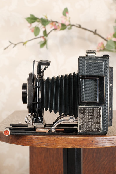 Near Mint! Rare Green Voigtlander 1935 Bergheil with Heliar lens & 120 rollfilm back, Freshly serviced, CLA'd! - Voigtlander- Petrakla Classic Cameras