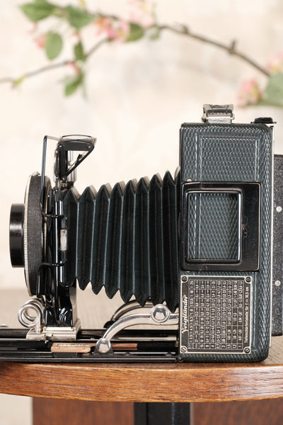 Near Mint! Rare Green Voigtlander 1935 Bergheil with Heliar lens & 120 rollfilm back, Freshly serviced, CLA'd! - Voigtlander- Petrakla Classic Cameras