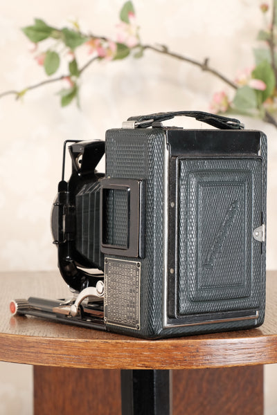 Near Mint! Rare Green Voigtlander 1935 Bergheil with Heliar lens & 120 rollfilm back, Freshly serviced, CLA'd! - Voigtlander- Petrakla Classic Cameras