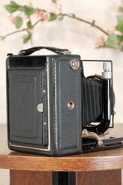 Near Mint! Rare Green Voigtlander 1935 Bergheil with Heliar lens & 120 rollfilm back, Freshly serviced, CLA'd! - Voigtlander- Petrakla Classic Cameras
