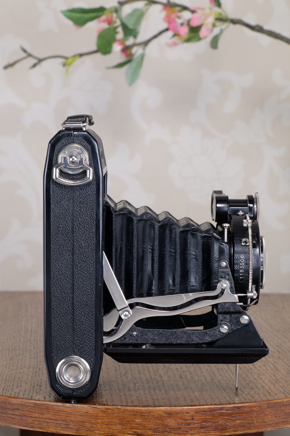 Near Mint 1933 Zeiss Ikon 6x9 Super Ikonta C, CLA’d, Freshly Serviced!