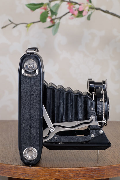 Near Mint 1933 Zeiss Ikon 6x9 Super Ikonta C, CLA’d, Freshly Serviced!