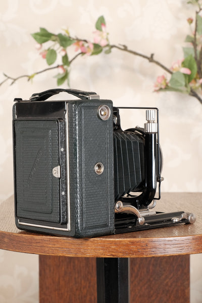 Near Mint! Rare Green Voigtlander 1935 Bergheil with Heliar lens & 120 rollfilm back, Freshly serviced, CLA'd! - Voigtlander- Petrakla Classic Cameras