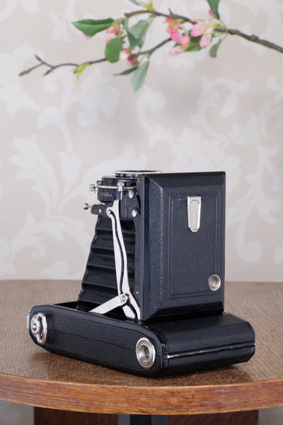 Near Mint 1933 Zeiss Ikon 6x9 Super Ikonta C, CLA’d, Freshly Serviced!