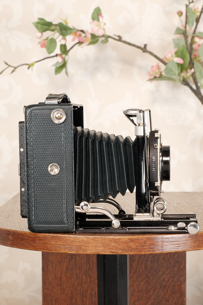 Near Mint! Rare Green Voigtlander 1935 Bergheil with Heliar lens & 120 rollfilm back, Freshly serviced, CLA'd! - Voigtlander- Petrakla Classic Cameras