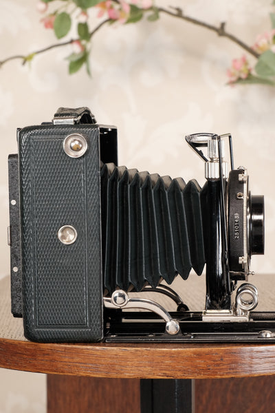 Near Mint! Rare Green Voigtlander 1935 Bergheil with Heliar lens & 120 rollfilm back, Freshly serviced, CLA'd! - Voigtlander- Petrakla Classic Cameras