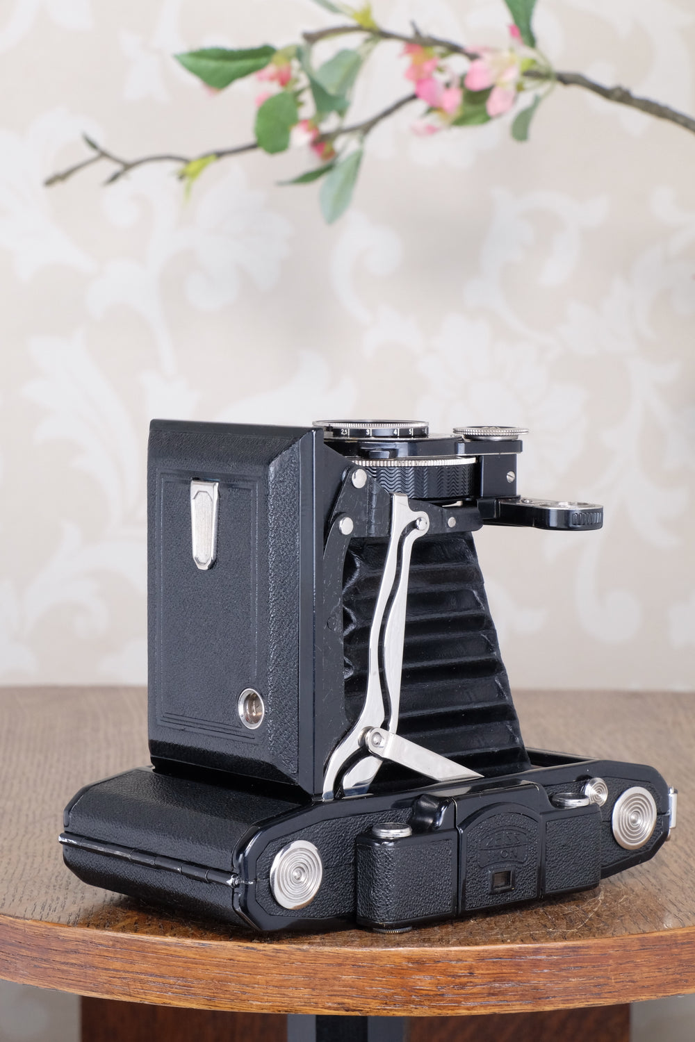 Near Mint 1933 Zeiss Ikon 6x9 Super Ikonta C, CLA’d, Freshly Serviced!