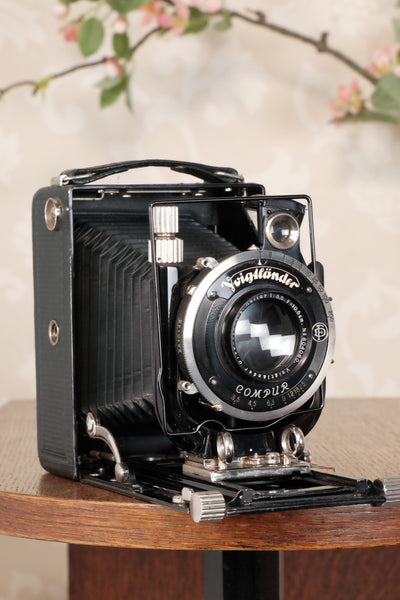 Near Mint! Rare Green Voigtlander 1935 Bergheil with Heliar lens & 120 rollfilm back, Freshly serviced, CLA'd! - Voigtlander- Petrakla Classic Cameras