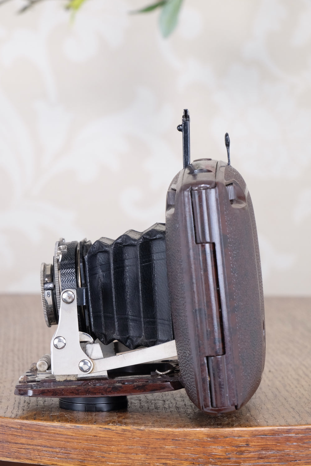 SUPERB! Rare 1934 Ebner 6x4.5 Brown Bakelite Art Deco Camera, Freshly serviced , CLA‘d