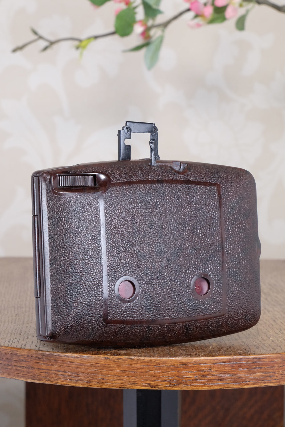 SUPERB! Rare 1934 Ebner 6x4.5 Brown Bakelite Art Deco Camera, Freshly serviced , CLA‘d
