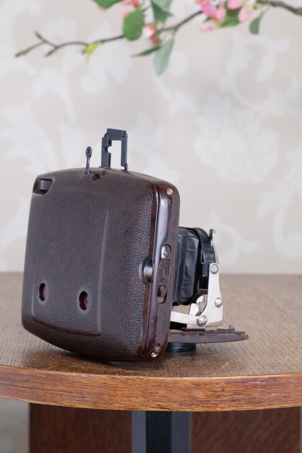 SUPERB! Rare 1934 Ebner 6x4.5 Brown Bakelite Art Deco Camera, Freshly serviced , CLA‘d