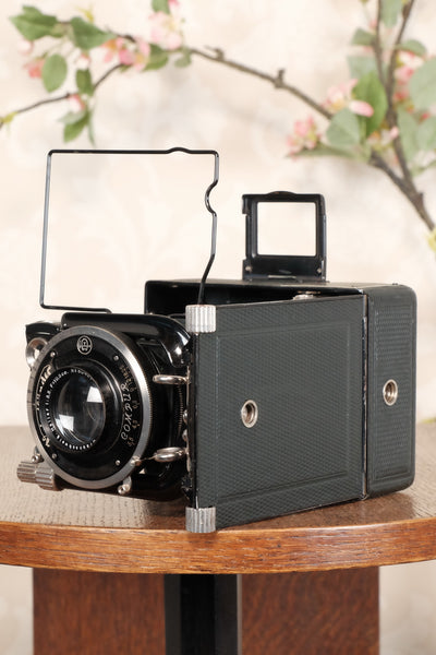 Near Mint! Rare Green Voigtlander 1935 Bergheil with Heliar lens & 120 rollfilm back, Freshly serviced, CLA'd! - Voigtlander- Petrakla Classic Cameras