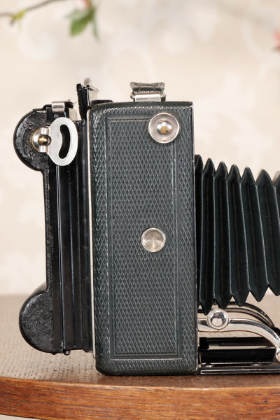 Near Mint! Rare Green Voigtlander 1935 Bergheil with Heliar lens & 120 rollfilm back, Freshly serviced, CLA'd! - Voigtlander- Petrakla Classic Cameras