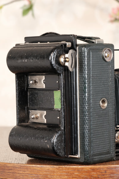Near Mint! Rare Green Voigtlander 1935 Bergheil with Heliar lens & 120 rollfilm back, Freshly serviced, CLA'd! - Voigtlander- Petrakla Classic Cameras