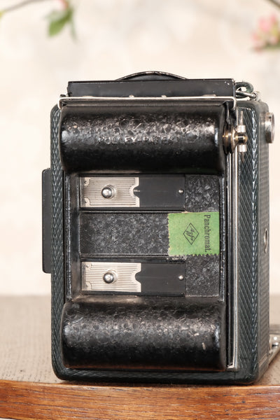 Near Mint! Rare Green Voigtlander 1935 Bergheil with Heliar lens & 120 rollfilm back, Freshly serviced, CLA'd! - Voigtlander- Petrakla Classic Cameras