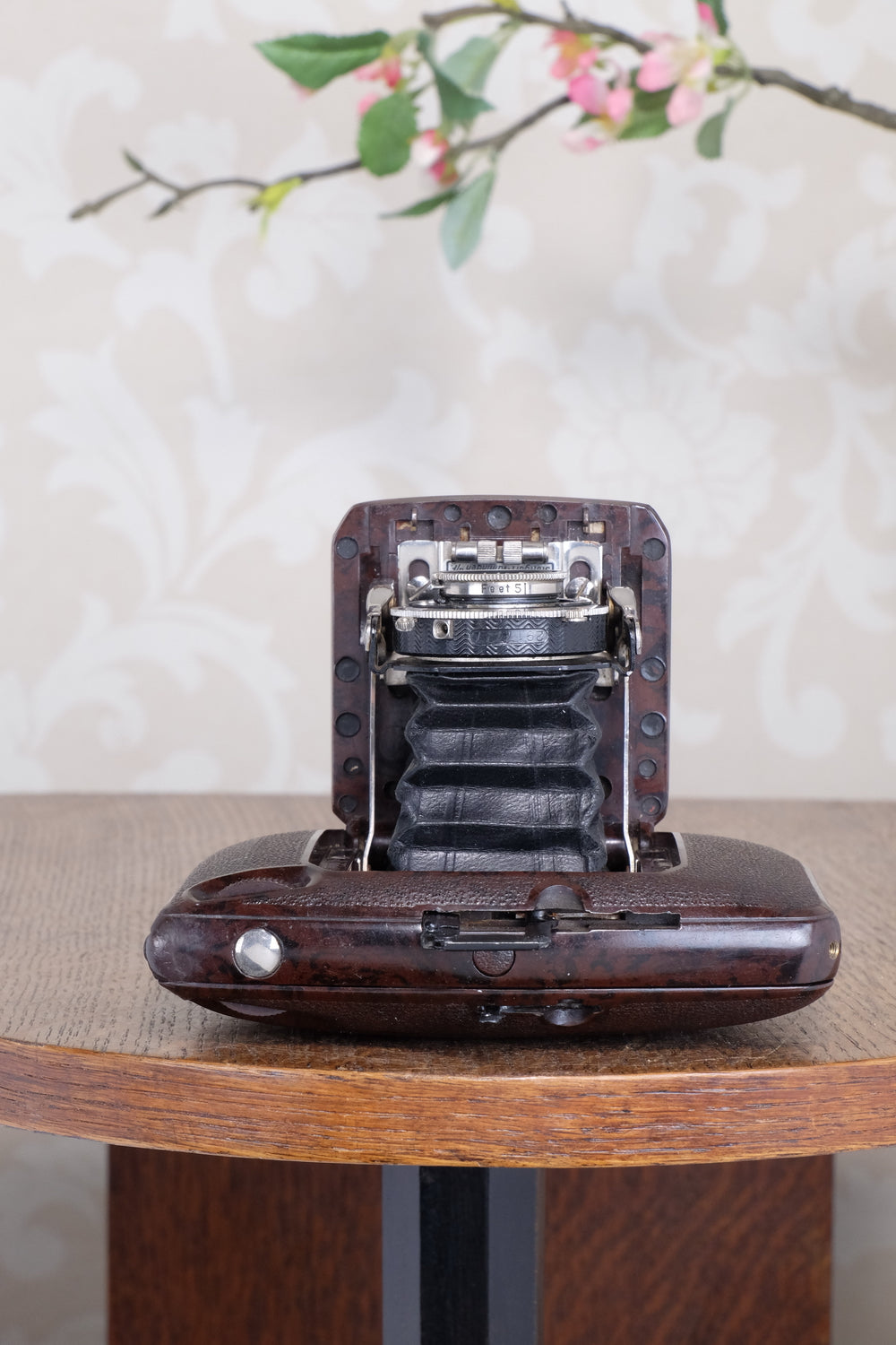 SUPERB! Rare 1934 Ebner 6x4.5 Brown Bakelite Art Deco Camera, Freshly serviced , CLA‘d