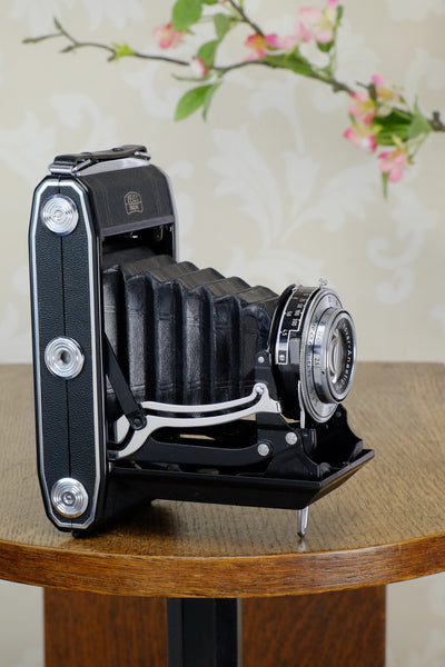 Superb! 1955 6x9 Zeiss-Ikon Nettar , CLA'd, Freshly Serviced! - Zeiss-Ikon- Petrakla Classic Cameras
