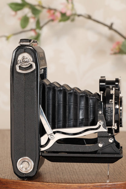 SUPERB! 1934 Zeiss Ikon Super Ikonta C, 6x9, Tessar lens, CLA'd, Freshly Serviced! - Zeiss-Ikon- Petrakla Classic Cameras