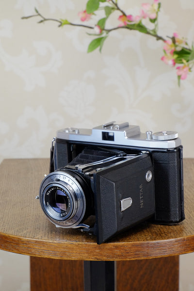 Superb! 1955 6x9 Zeiss-Ikon Nettar , CLA'd, Freshly Serviced! - Zeiss-Ikon- Petrakla Classic Cameras