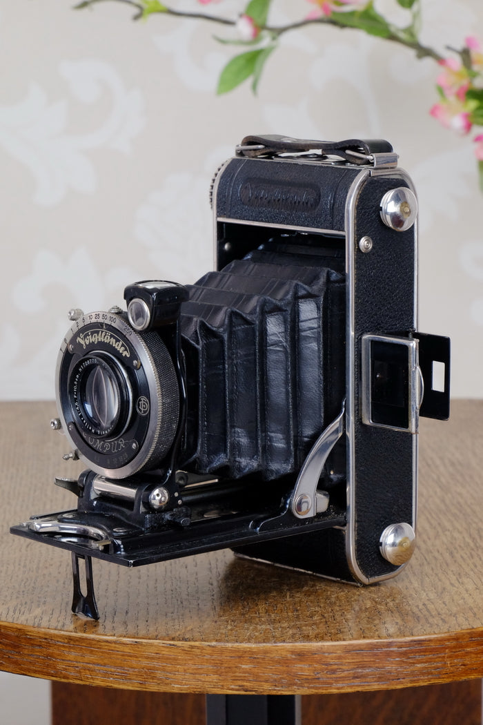 1934 Voigtlander Inos II 6x9 Folder, with Heliar lens! CLA’d, Freshly Serviced! - Voigtlander- Petrakla Classic Cameras
