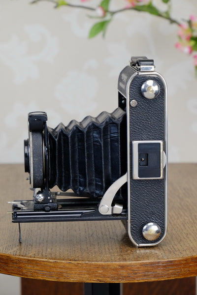 1934 Voigtlander Inos II 6x9 Folder, with Heliar lens! CLA’d, Freshly Serviced! - Voigtlander- Petrakla Classic Cameras
