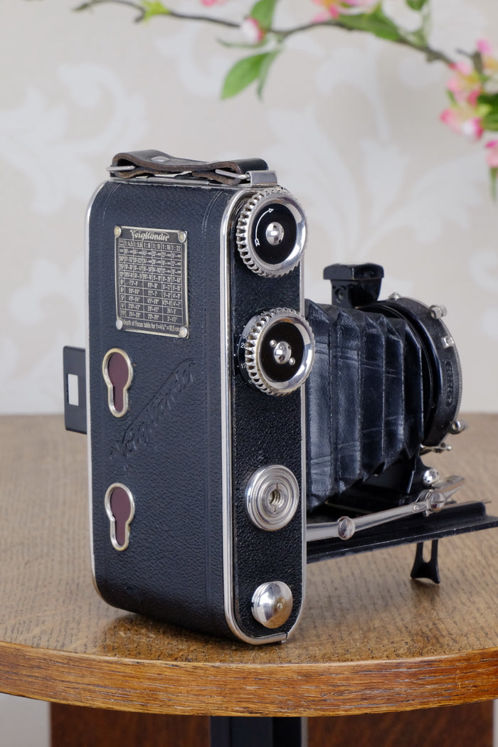 1934 Voigtlander Inos II 6x9 Folder, with Heliar lens! CLA’d, Freshly Serviced! - Voigtlander- Petrakla Classic Cameras