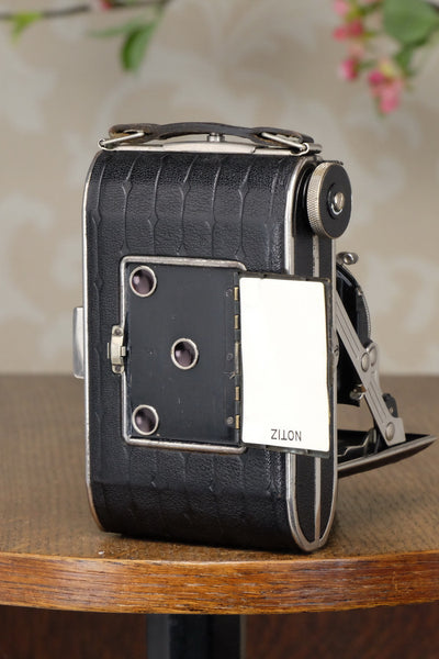 Rare! 6x6 1936 CERTO Super Sport Dolly, CLA'd, Freshly Serviced! - Certo- Petrakla Classic Cameras