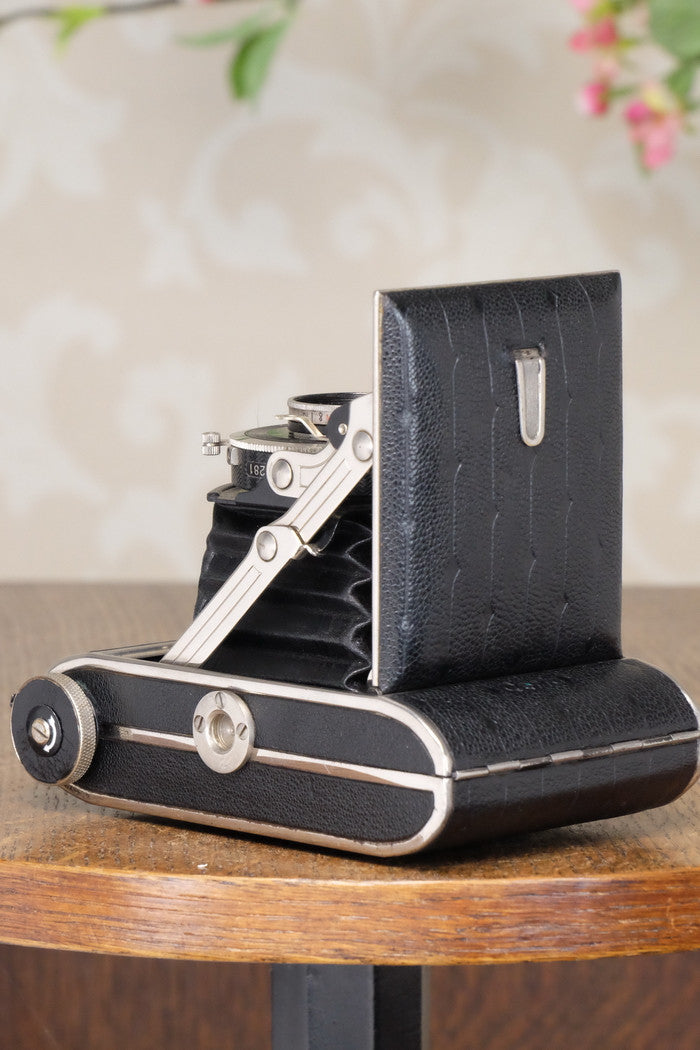 Rare! 6x6 1936 CERTO Super Sport Dolly, CLA'd, Freshly Serviced! - Certo- Petrakla Classic Cameras