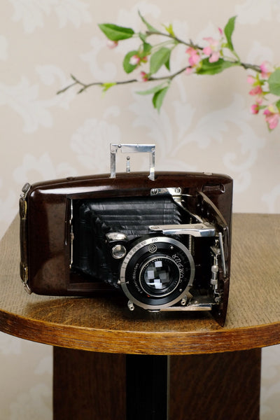 SUPERB! Rare 1935 Ebner 6x9 Brown Bakelite Art Deco Camera, CLA‘d - Ebner- Petrakla Classic Cameras