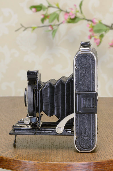 1933 Voigtlander 6x9 Folder with HELIAR lens, CLA'd FRESHLY SERVICED! - Voigtlander- Petrakla Classic Cameras
