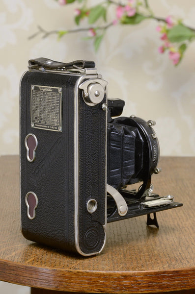 1933 Voigtlander 6x9 Folder with HELIAR lens, CLA'd FRESHLY SERVICED! - Voigtlander- Petrakla Classic Cameras