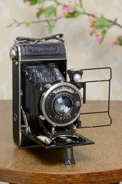 1933 Voigtlander 6x9 Folder with HELIAR lens, CLA'd FRESHLY SERVICED! - Voigtlander- Petrakla Classic Cameras