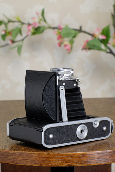 Near Mint! 1952 6x6 Voigtlander Perkeo with desirable Coated Color-Skopar Lens, CLA’d, Freshly Serviced - Voigtlander- Petrakla Classic Cameras